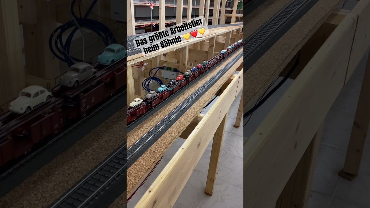 Das größte Arbeitstier beim Bähnle💛❤️💛 