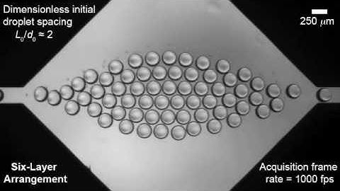 Droplet assembly in a microfluidic chamber