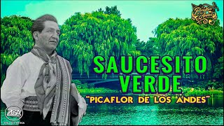 Picaflor de los Andes - SAUCESITO VERDE chords