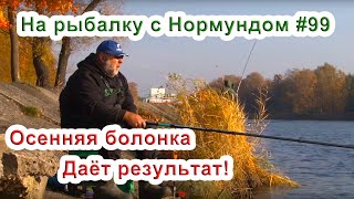 Осенняя болонка даёт результат! На рыбалку с Нормундом #99