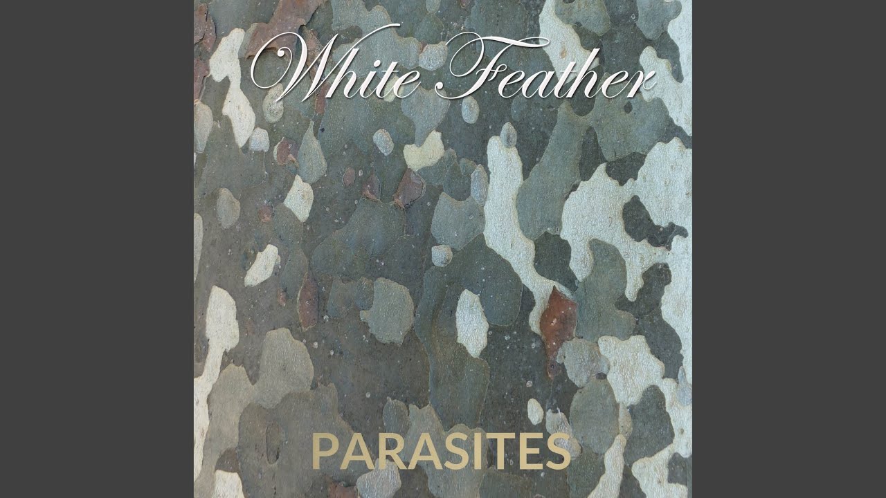 在 YouTube 上观看 Parasites 在 YouTube 上观看 Parasites