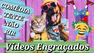 vídeos animais engraçados para rir muito｜Pesquisa do TikTok