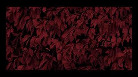 Cloistral & Drottning Omma ‎| Nya katedraler V/X [offworldcolonies ltd. 2018]