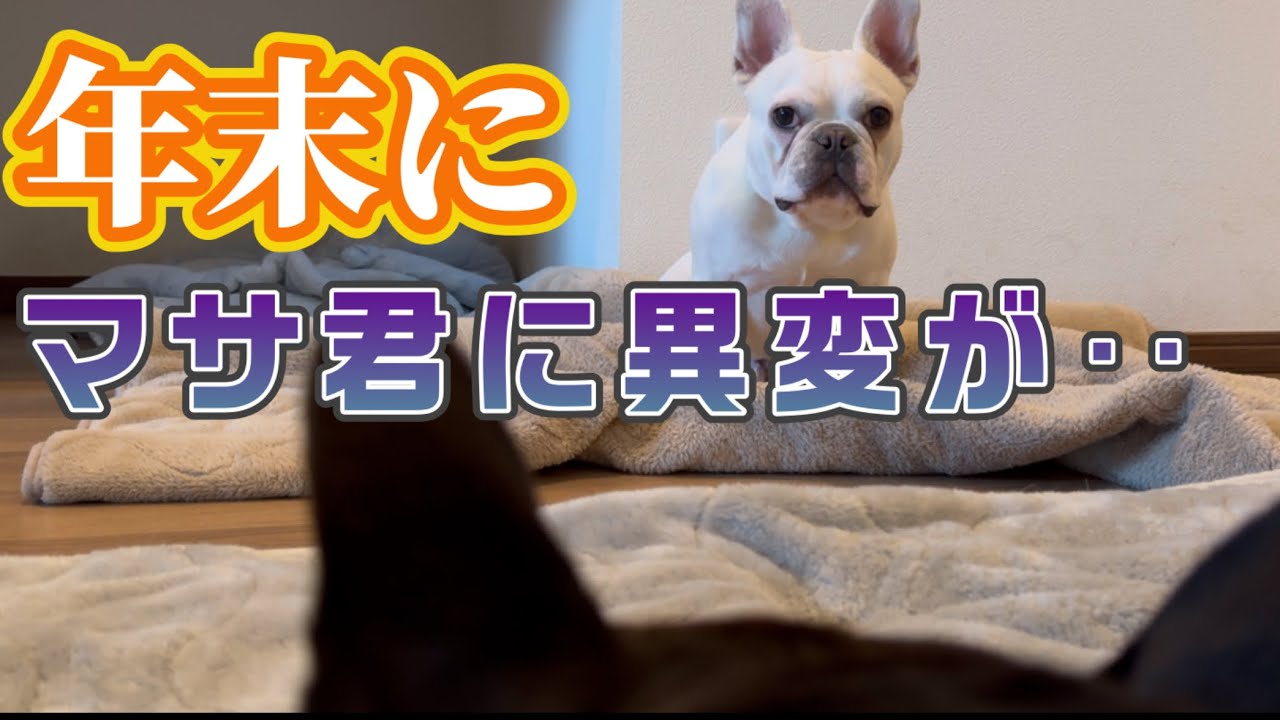 年末フレブルのマサ君が‥