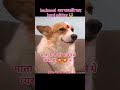 #truedialogue #truedialogue #zarooratrishta #ayeshavilla #trending #praja #comedy