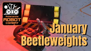 Beetleweight League January 2020