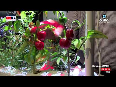 la minute IFA S05E09 : Click and grow : le potager d'intérieur bio