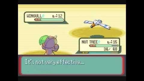 Pokemon Ruby Walkthrough Part 13 (2) : To the Beach