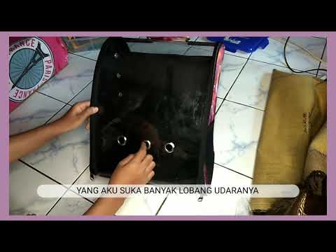 Video: Membawa Kucing Dan Kucing: Varieti (beg, Ransel, Plastik, Sangkar Dan Lain-lain), Cara Memilih, Bagaimana Melakukannya Sendiri, Ulasan