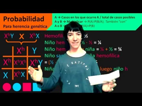 Video: ¿Qué es la herencia combinada?