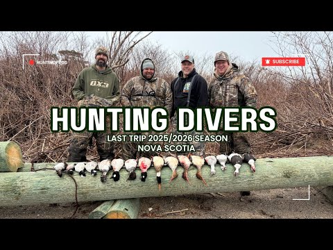 LAST DIVERS OF THE SEASON | NOVA SCOTIA DUCK HUNTING 2026