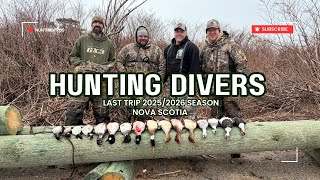 LAST DIVERS OF THE SEASON | NOVA SCOTIA DUCK HUNTING 2026