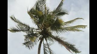 Dola Kabarry-Ken Jaborder