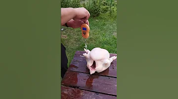 Последний забой бройлера