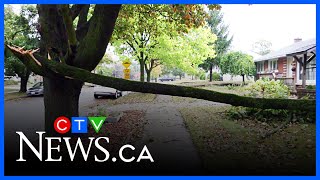 Fallen limbs, flooded roads and a fire: Storm damage in Waterloo Region