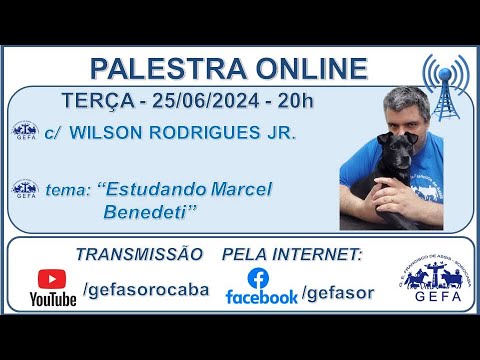 Assista: Palestra Online - c/ WILSON RODRIGUES JR (25/06/2024)