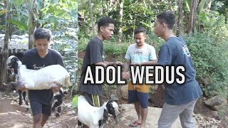 ADOL WEDUS // FILM PENDEK // GABRUL TV
