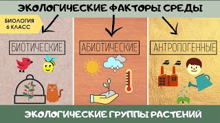 Доклад по теме Антропогенные экологические факторы