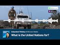 What is the United Nations for? 🎙️ Independent Thinking podcast