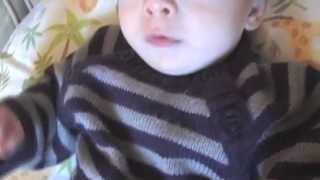 Shorestein Kellly, Adoption Legal Services