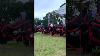 Download Lagu Walisongo Bantengan Putra Mandala Wisanggeni #bantengan #lagubantenganfullalbum #shortvideo #shorts MP3