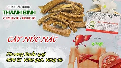 Cây Núc Nác - Địa chỉ bán cây núc nác Thanh Bình tại TPHCM giá tốt nhất