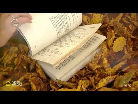 მე-20 საუკუნის მოდერნისტი მწერლის ბასილ მელიქიშვილის შემოქმედება