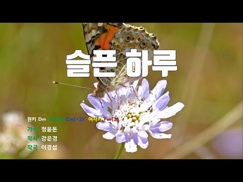 [은성 반주기] 슬픈하루 - 정윤돈