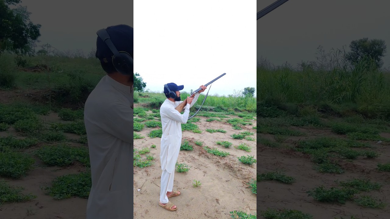 dunali 12 bore #12 bore 