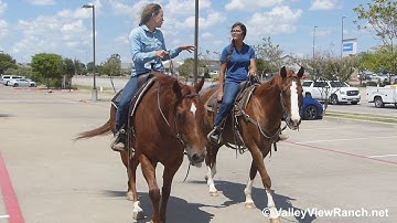 Marty and Shirley - riding in town! - ValleyViewRanch.net
