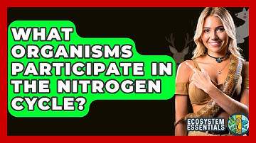 What Organisms Participate In The Nitrogen Cycle? - Ecosystem Essentials