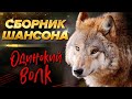 Одинокий волк! Лучшее в шансоне!