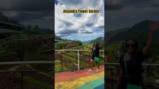Alejandra Flower Garden