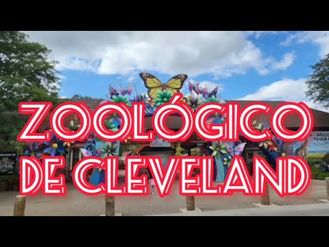 Vídeo: Al zoo de Cleveland?