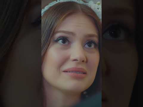 Юсуф оставляет Налан за свадебным столом - Любовь заставляет плакать #shorts