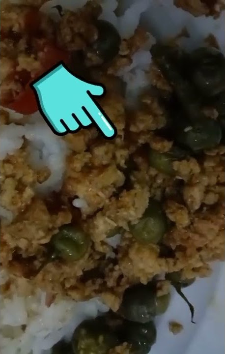 BELATUNG tiktok #video shorst#youtuber pemula