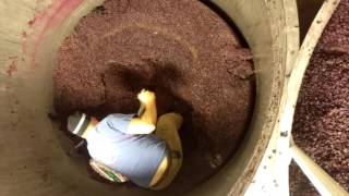 Shoveling out a 9 ton fermenter time lapse.