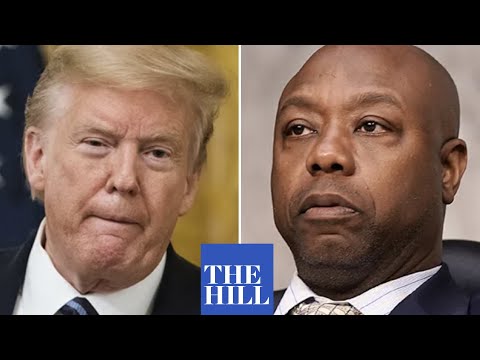 BREAKING: Tim Scott responds to Trump's refusal to condemn white supremacists