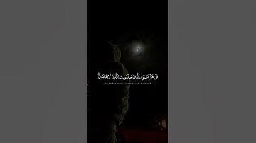 سورة الزمر _ احمد خضر 🤎 #wtaq_1 #راحة_نفسية #قرآن #القرآن_الكريم #quran