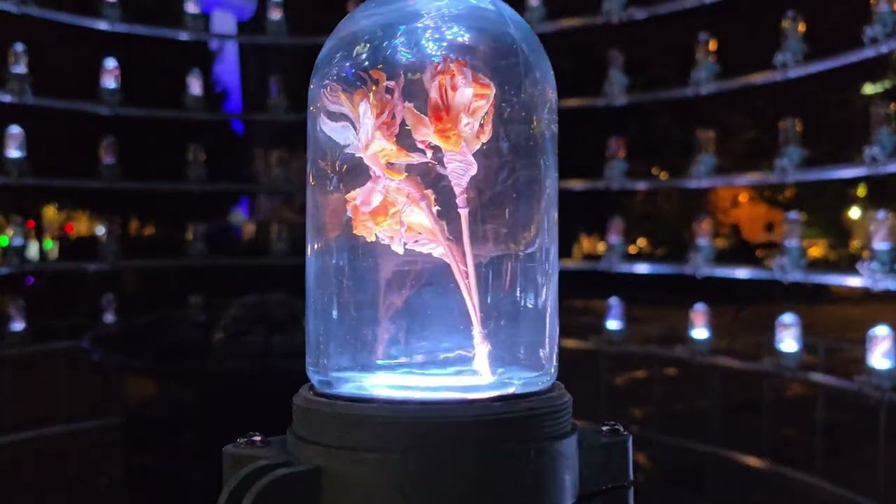 🇷🇴 ❤️Bucharest SPOTLIGHT FESTIVAL 2024❤️ - Full Preview walking tour 4K60fps