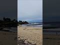 WALKING TO BONDI BEACH SYDNEY AUSTRALIA 2026! (great and relaxed view)