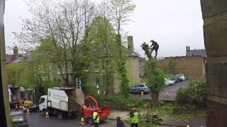 The Tree Cutters
Time lapse of some tree surgeons cutting down an old horse chestnut tree. The Tree Cutters
