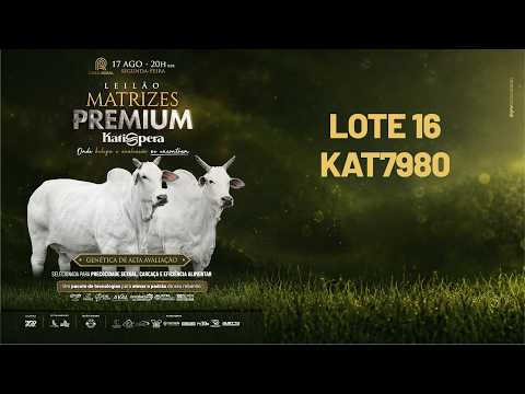 LOTE 16   KAT 7980