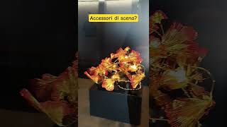 Jiuliet and Romeo,Timothy Scott Bogart.Accessori di scena #film  #passion #cinema #roma