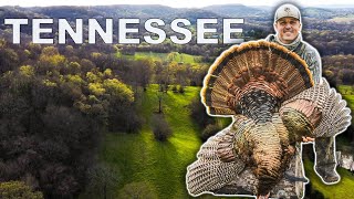 NASHVILLE TURKEY HUNTING: This Place Was LOADED!!