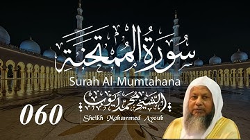 060 سورة الممتحنة كاملة _ الشيخ محمد أيوب | Suratul Mumtahana Complete _ Sheikh Mohammed Ayoub