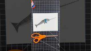 N Is For Narwhal What Should I Make For The Letter O?