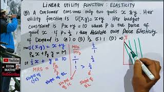 utility function and elasticity