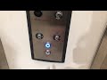ThyssenKrupp Synergy Elevators @ Muse Apartments - Denver, CO.