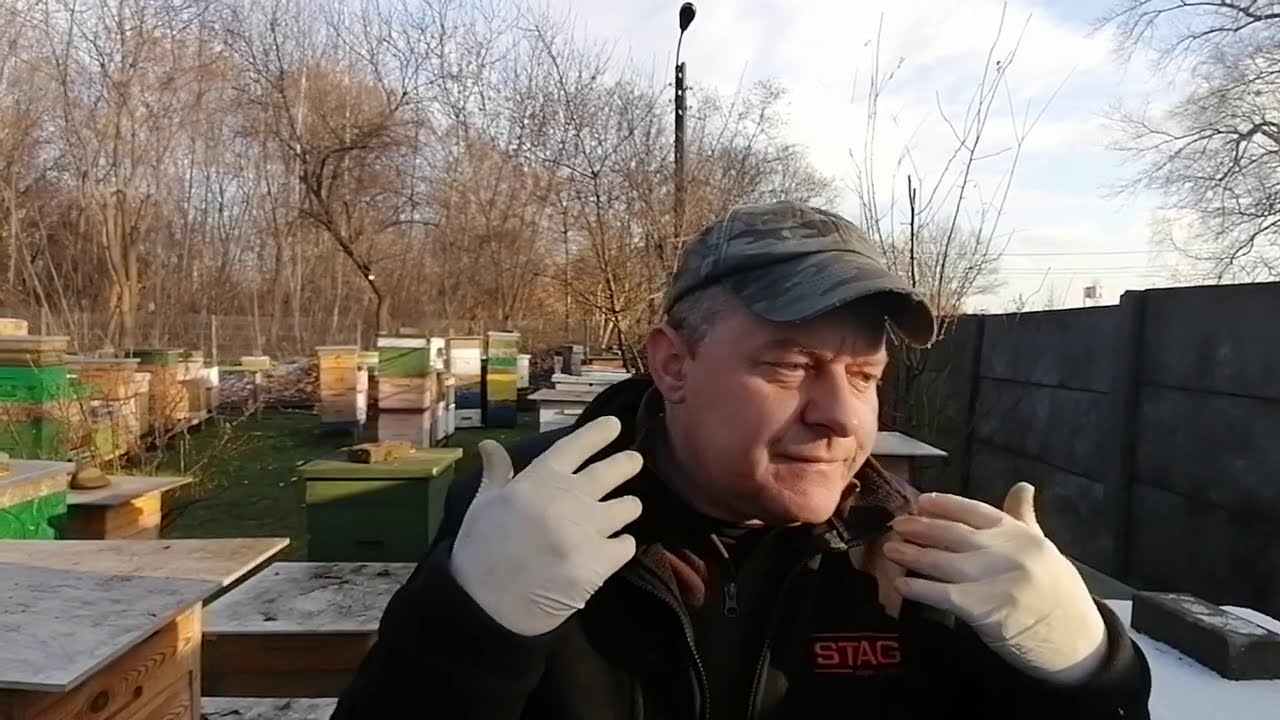 O co chodzi z tą wilgocią w ulu? Jak się jej pozbyć.